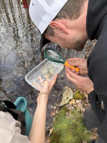 person peers at egg mass through magnifying glass