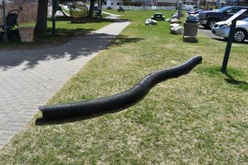 (Photo by Sarah Thompson)