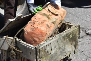 (Photo by Sarah Thompson)