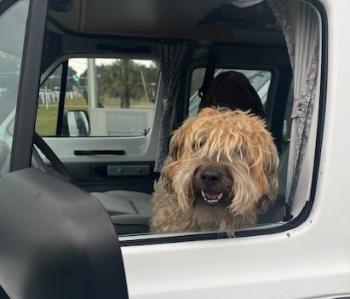 Dolly (Photo courtesy Rick Cronin)