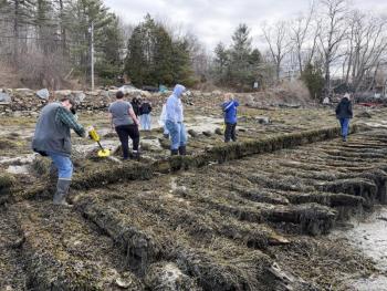 wider view of timbers