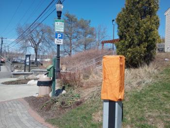 (Photo by Sarah Thompson)