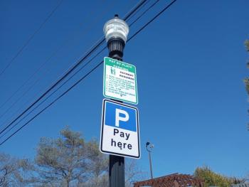 (Photo by Sarah Thompson)