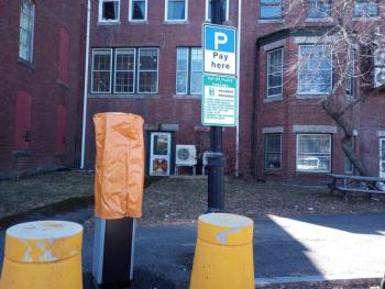 (Photo by Sarah Thompson)