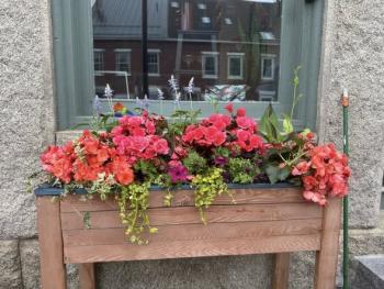 window box