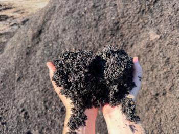 soil in hands