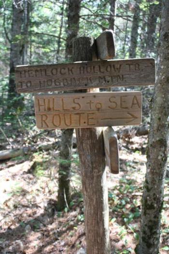 (Photo courtesy Hills to Sea Coalition)