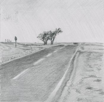 Tree Horse in Boise City (Drawing by Rick Cronin)
