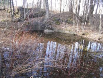 vernal pool