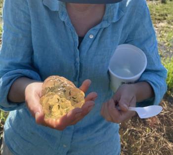 person holds items in her hands