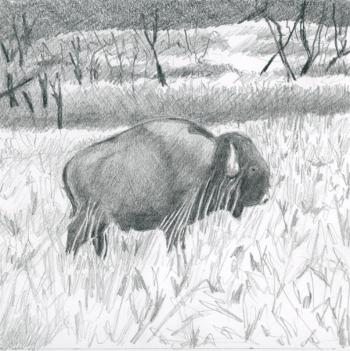 Fort Niobrara Reserve, Nebraska
