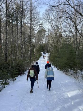 hikers on snowy trail