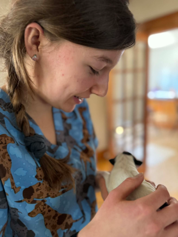 holding animal