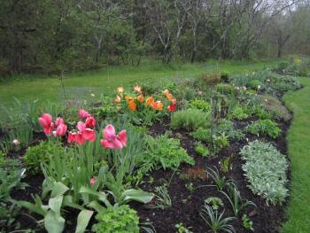 perennial gardens