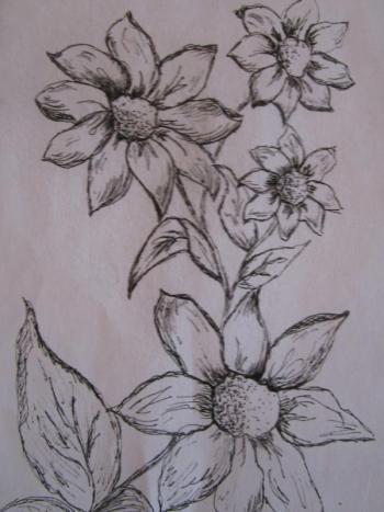 dark pencil flower drawing