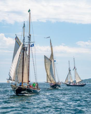 three schooners
