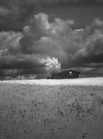 black and white photograph