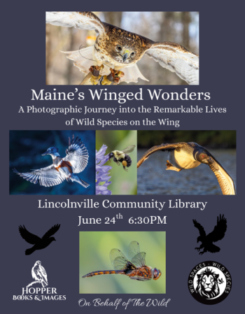 Library Event