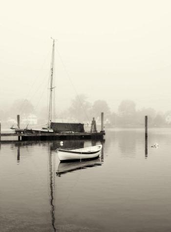 Pea Pod Fog photo