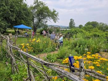 people enter a garden