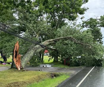 A Belfast tree came down in the road, cutting power. (Photo courtesy Central Maine Power)