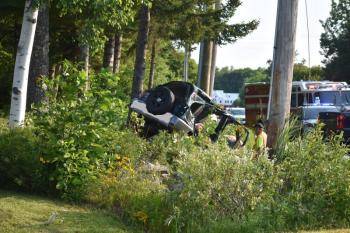 car in the vegetation
