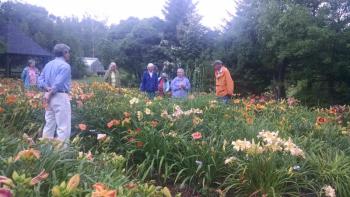 adults stand in a flower garden