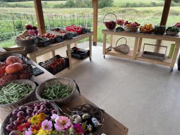 (Photo courtesy Dooryard Farm)