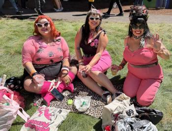 Pink Flamingoes