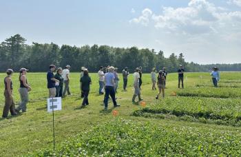 people walk through a field