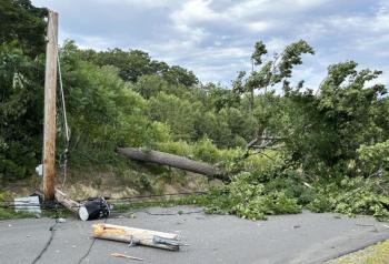 On Main Street in Rockport, a large tree fell across the road, cutting power to hundreds of Central Maine Power customers in Rockport. (Photo courtesy Karin Lockwood)
