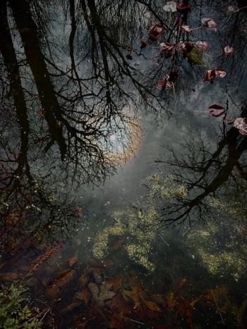 reflective pond
