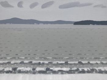 gray ocean tides