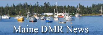Maine DMR News banner