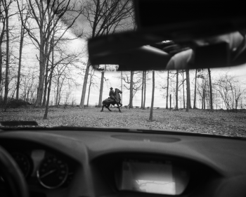 photograph