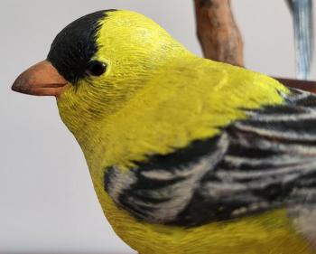 Goldfinch