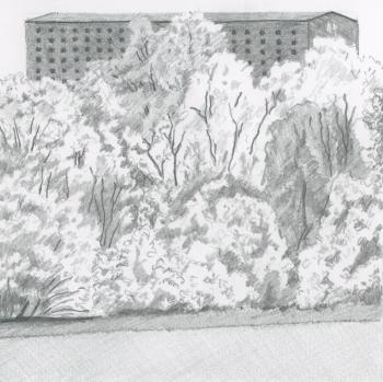 Wild Turkey Distillery, Kentucky. (Drawing by Rick Cronin)