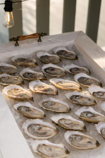 Oysters
