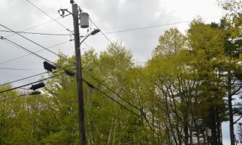 powerlines overhead