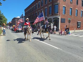 horses