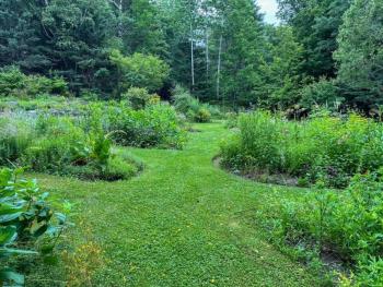 small garden plots among green grass
