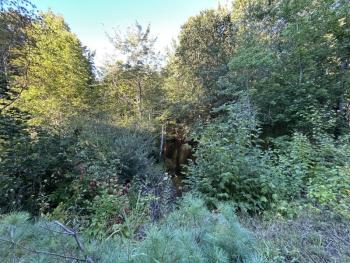 Megunticook River, at Mt. Battie Street, in Camden. (Photo by Lynda Clancy)