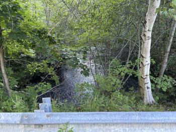 Megunticook River, at Mt. Battie Street, in Camden. (Photo by Lynda Clancy)