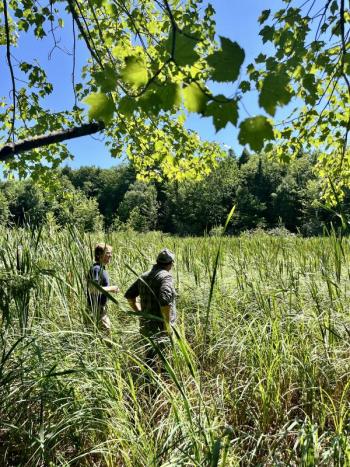 two people in meadow