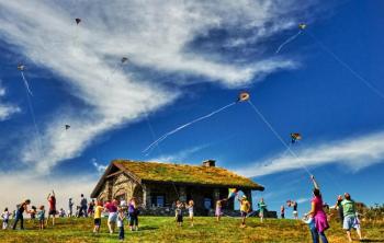 families and kites 