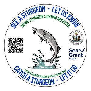 sticker logo