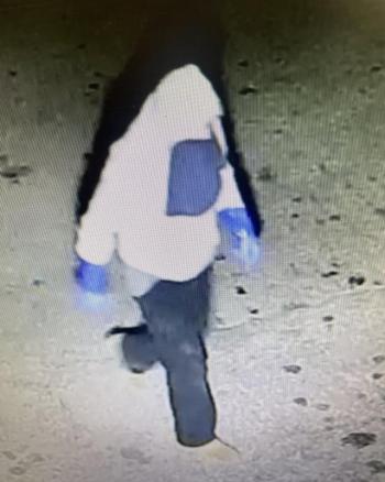 surveillance camera footage, grainy image