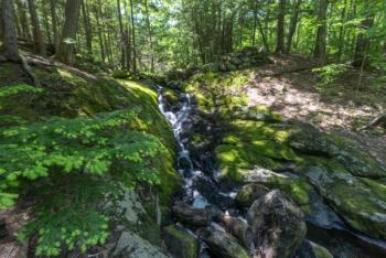 narrow brook along forest trail