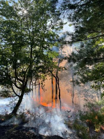 Camden Hills wildfire planning process launches with talk, open house ...