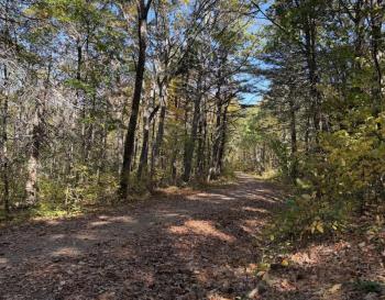 Lincolnville